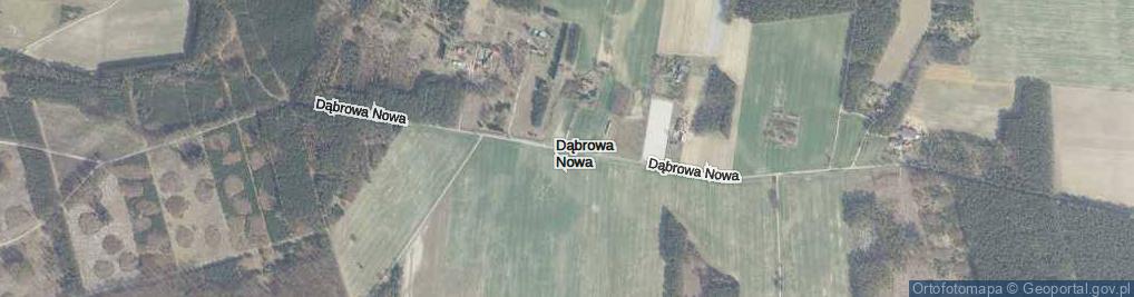 Zdjęcie satelitarne Dąbrowa Nowa ul.